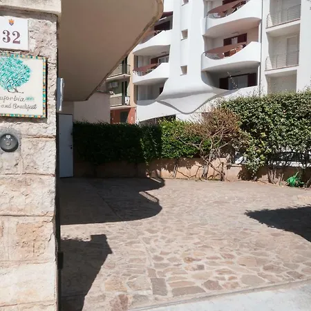 L'euforbia 2* Αλγκέρο